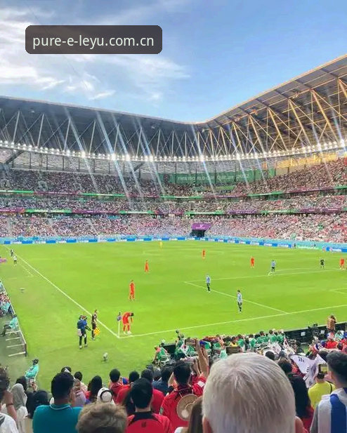 奥运会足球水位波动规律深度分析——以纯粹构想标帜LEYU乐鱼平台为例